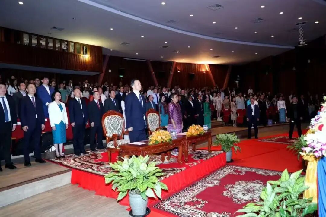 P20.jpg